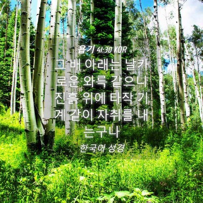 Picture 04 - 욥기 41:30 KOR - 그 배 아래는 날카로운 와륵 같으니 - Bible Verse Picture
