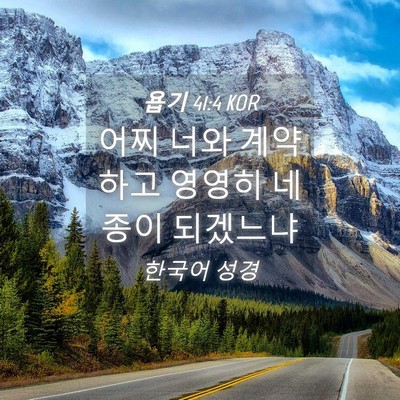 Picture 04 - 욥기 41:4 KOR - 어찌 너와 계약하고 영영히 네 종이 - Bible Verse Picture