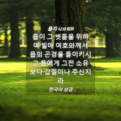 Picture 04 - 욥기 42:10 KOR - 욥이 그 벗들을 위하여 빌매 - Bible Verse Picture