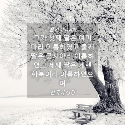 Picture 04 - 욥기 42:14 KOR - 그가 첫째 딸은 여미마라 이름하였고 - Bible Verse Picture