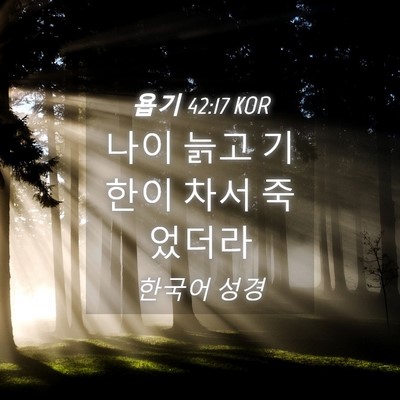 Picture 04 - 욥기 42:17 KOR - 나이 늙고 기한이 차서 - Bible Verse Picture