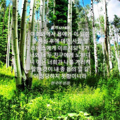 Picture 04 - 욥기 42:7 KOR - 여호와께서 욥에게 이 말씀을 하신 - Bible Verse Picture