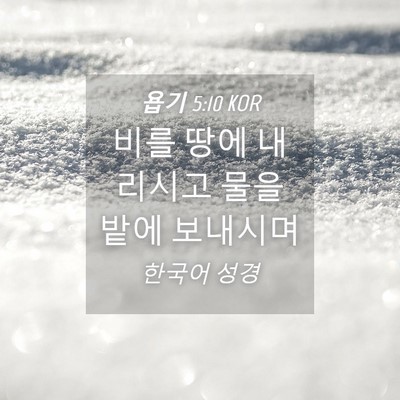 Picture 04 - 욥기 5:10 KOR - 비를 땅에 내리시고 물을 밭에 - Bible Verse Picture