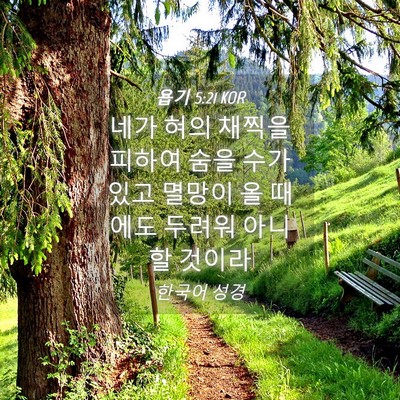 Picture 04 - 욥기 5:21 KOR - 네가 혀의 채찍을 피하여 숨을 수가 - Bible Verse Picture