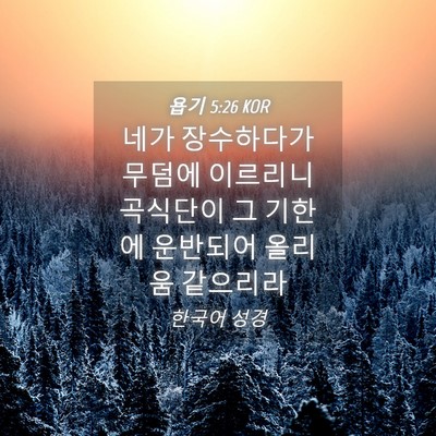 Picture 04 - 욥기 5:26 KOR - 네가 장수하다가 무덤에 이르리니 - Bible Verse Picture