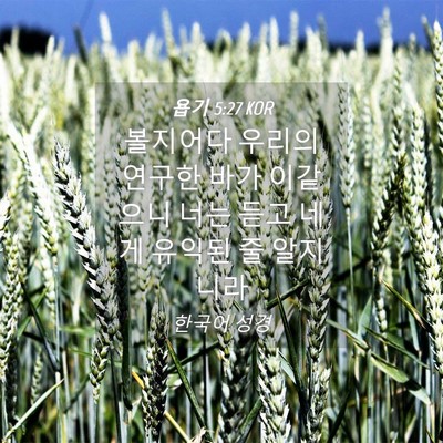 Picture 04 - 욥기 5:27 KOR - 볼지어다 우리의 연구한 바가 - Bible Verse Picture