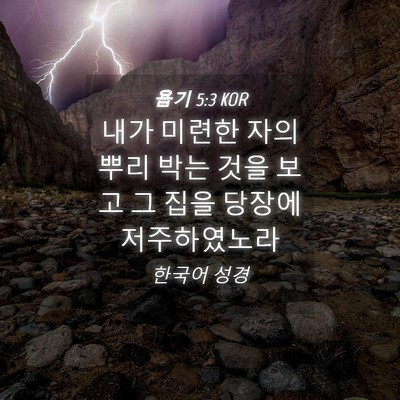 Picture 04 - 욥기 5:3 KOR - 내가 미련한 자의 뿌리 박는 것을 - Bible Verse Picture