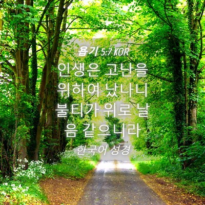 Picture 04 - 욥기 5:7 KOR - 인생은 고난을 위하여 났나니 불티가 - Bible Verse Picture