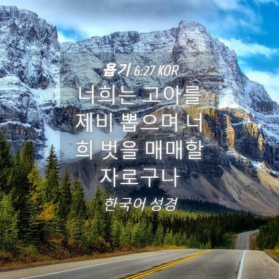 Picture 04 - 욥기 6:27 KOR - 너희는 고아를 제비 뽑으며 너희 - Bible Verse Picture