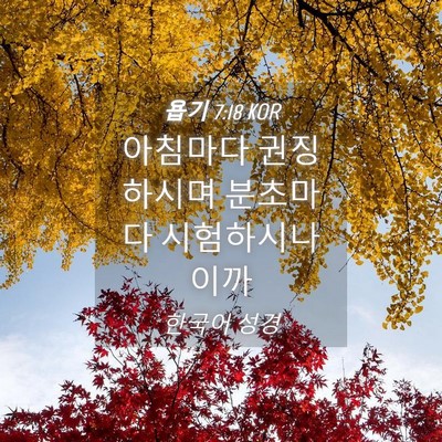 Picture 04 - 욥기 7:18 KOR - 아침마다 권징하시며 분초마다 - Bible Verse Picture
