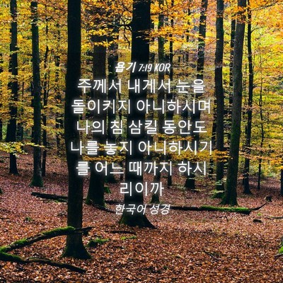 Picture 04 - 욥기 7:19 KOR - 주께서 내게서 눈을 돌이키지 - Bible Verse Picture