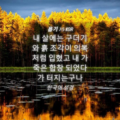 Picture 04 - 욥기 7:5 KOR - 내 살에는 구더기와 흙 조각이 - Bible Verse Picture