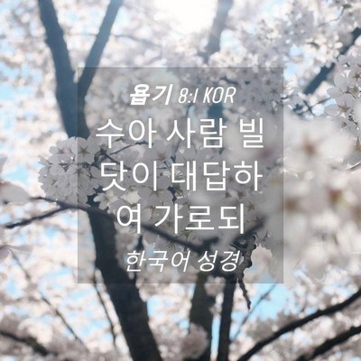 Picture 04 - 욥기 8:1 KOR - 수아 사람 빌닷이 대답하여 - Bible Verse Picture