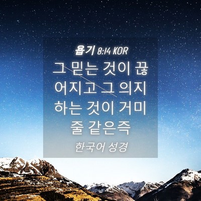 Picture 04 - 욥기 8:14 KOR - 그 믿는 것이 끊어지고 그 의지하는 - Bible Verse Picture