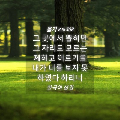 Picture 04 - 욥기 8:18 KOR - 그 곳에서 뽑히면 그 자리도 모르는 - Bible Verse Picture