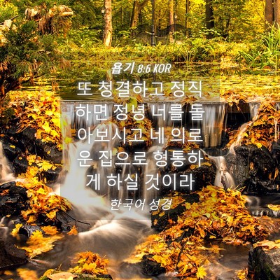 Picture 04 - 욥기 8:6 KOR - 또 청결하고 정직하면 정녕 너를 - Bible Verse Picture