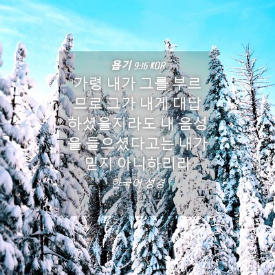 Picture 04 - 욥기 9:16 KOR - 가령 내가 그를 부르므로 그가 내게 - Bible Verse Picture