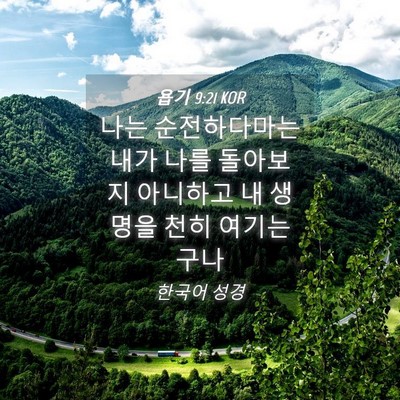 Picture 04 - 욥기 9:21 KOR - 나는 순전하다마는 내가 나를 - Bible Verse Picture
