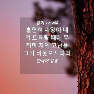 Picture 04 - 욥기 9:23 KOR - 홀연히 재앙이 내려 도륙될 때에 - Bible Verse Picture