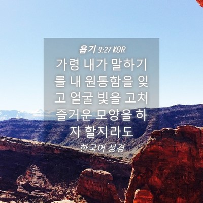 Picture 04 - 욥기 9:27 KOR - 가령 내가 말하기를 내 원통함을 - Bible Verse Picture