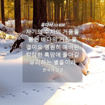Picture 04 - 유다서 1:13 KOR - 자기의 수치의 거품을 뿜는 바다의 - Bible Verse Picture