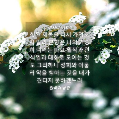 Picture 04 - 이사야 1:13 KOR - 헛된 제물을 다시 가져오지 말라 - Bible Verse Picture
