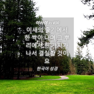 Picture 04 - 이사야 11:1 KOR - 이새의 줄기에서 한 싹이 나며 그 - Bible Verse Picture
