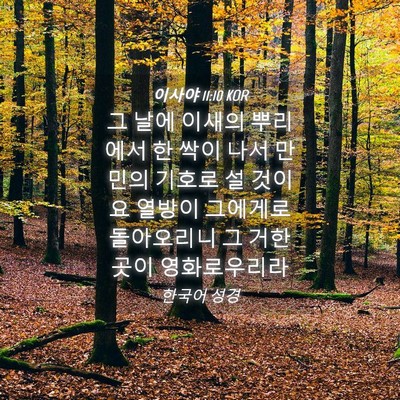 Picture 04 - 이사야 11:10 KOR - 그 날에 이새의 뿌리에서 한 싹이 - Bible Verse Picture