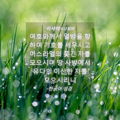 Picture 04 - 이사야 11:12 KOR - 여호와께서 열방을 향하여 기호를 - Bible Verse Picture