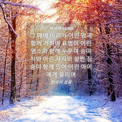 Picture 04 - 이사야 11:6 KOR - 그 때에 이리가 어린 양과 함께 - Bible Verse Picture