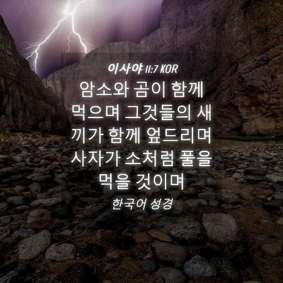 Picture 04 - 이사야 11:7 KOR - 암소와 곰이 함께 먹으며 그것들의 - Bible Verse Picture