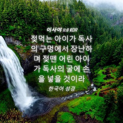 Picture 04 - 이사야 11:8 KOR - 젖먹는 아이가 독사의 구멍에서 - Bible Verse Picture