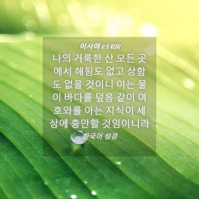 Picture 04 - 이사야 11:9 KOR - 나의 거룩한 산 모든 곳에서 해됨도 - Bible Verse Picture