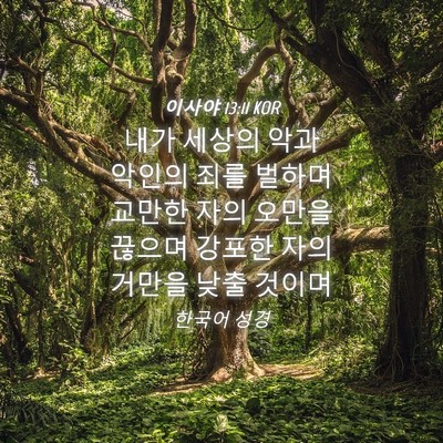 Picture 04 - 이사야 13:11 KOR - 내가 세상의 악과 악인의 죄를 - Bible Verse Picture