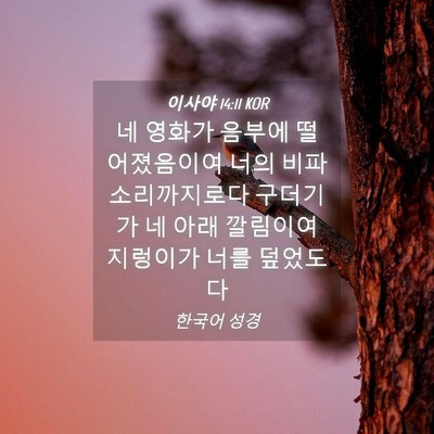 Picture 04 - 이사야 14:11 KOR - 네 영화가 음부에 떨어졌음이여 너의 - Bible Verse Picture