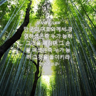 Picture 04 - 이사야 14:27 KOR - 만군의 여호와께서 경영하셨은즉 - Bible Verse Picture