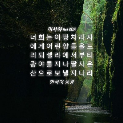 Picture 04 - 이사야 16:1 KOR - 너 희 는 이 땅 치 리 자 에 게 어 린 - Bible Verse Picture