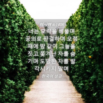 Picture 04 - 이사야 16:3 KOR - 너는 모략을 베풀며 공의로 판결하며 - Bible Verse Picture