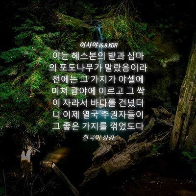 Picture 04 - 이사야 16:8 KOR - 이는 헤스본의 밭과 십마의 - Bible Verse Picture