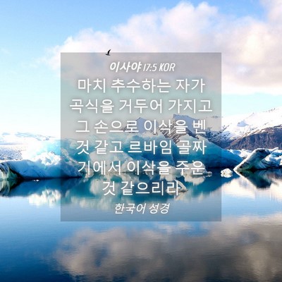 Picture 04 - 이사야 17:5 KOR - 마치 추수하는 자가 곡식을 거두어 - Bible Verse Picture