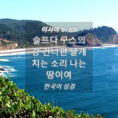 Picture 04 - 이사야 18:1 KOR - 슬프다 구스의 강 건너편 날개치는 - Bible Verse Picture