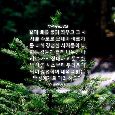 Picture 04 - 이사야 18:2 KOR - 갈대 배를 물에 띄우고 그 사자를 - Bible Verse Picture