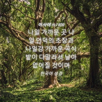 Picture 04 - 이사야 19:7 KOR - 나일 가까운 곳 나일 언덕의 초장과 - Bible Verse Picture