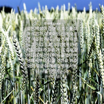 Picture 04 - 이사야 2:3 KOR - 많은 백성이 가며 이르기를 오라 - Bible Verse Picture