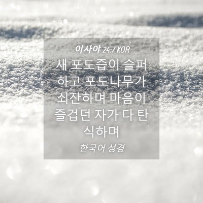 Picture 04 - 이사야 24:7 KOR - 새 포도즙이 슬퍼하고 포도나무가 - Bible Verse Picture