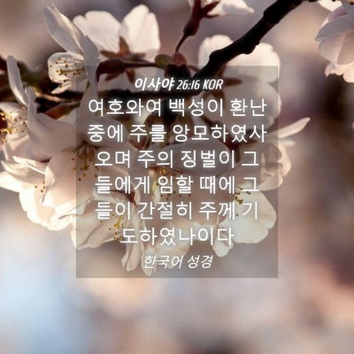 Picture 04 - 이사야 26:16 KOR - 여호와여 백성이 환난 중에 주를 - Bible Verse Picture