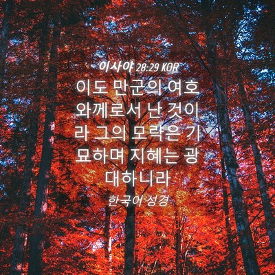 Picture 04 - 이사야 28:29 KOR - 이도 만군의 여호와께로서 난 것이라 - Bible Verse Picture