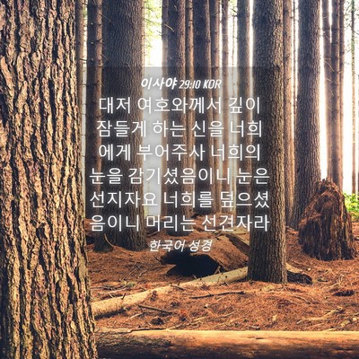 Picture 04 - 이사야 29:10 KOR - 대저 여호와께서 깊이 잠들게 하는 - Bible Verse Picture