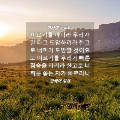 Picture 04 - 이사야 30:16 KOR - 이르기를 아니라 우리가 말 타고 - Bible Verse Picture