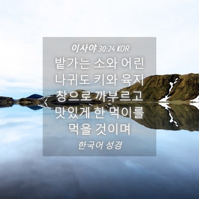 Picture 04 - 이사야 30:24 KOR - 밭가는 소와 어린 나귀도 키와 - Bible Verse Picture